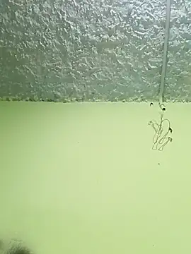 Micaejj online show from April 2026 08:34:01 PM