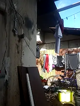 Ver-gudito online show from April 2026 01:41:02 PM