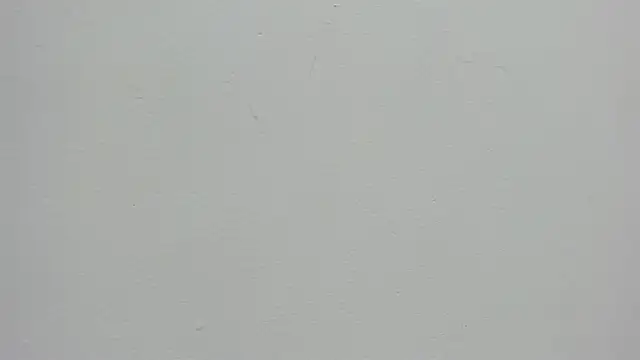 Daphne Leia online show from May 2026 07:08:01 PM