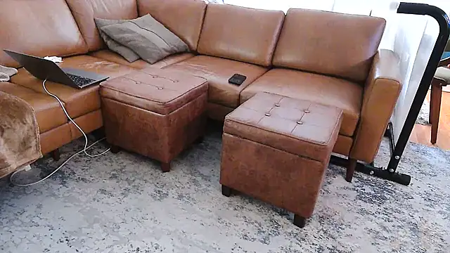 gaydandyboy online show from May 2026 09:33:01 PM