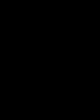 TackedCymbal online show from May 2026 03:17:01 PM