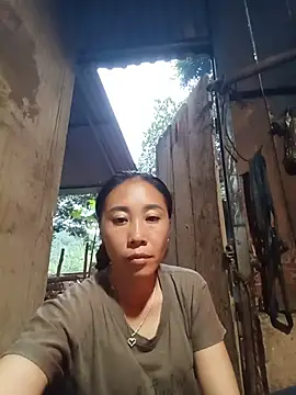 Jinli 01 online show from August 2026 11:34:02 AM