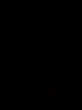 JasminSex01 online show from May 2026 02:30:01 AM