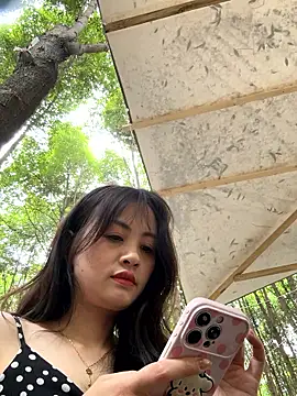 Snapshot of huihui_520 chatting on June 2026 04:25:01 AM huihui 520 online show from June 2026 04:25:01 AM