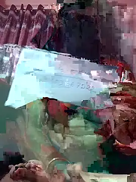 Nilpori2 online show from June 2026 02:33:01 PM