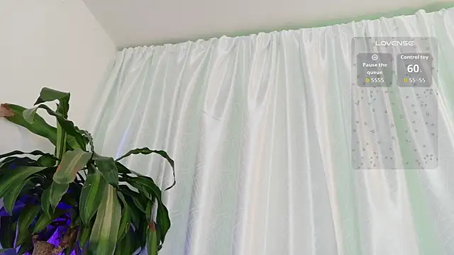 cata cat online show from June 2026 02:16:02 PM