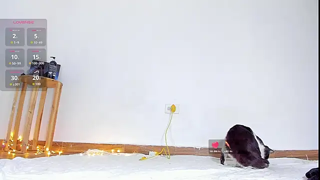 abilX online show from January 2025 01:57:02 PM