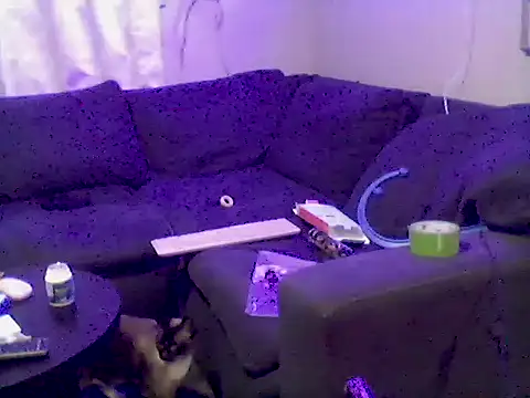 Pbluntz90 online show from July 2026 02:42:02 AM