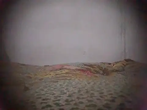 04 brayitan online show from May 2026 08:51:01 PM