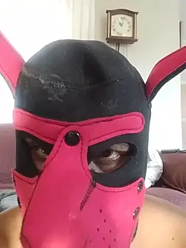 Snapshot of sillybonker chatting on May 2026 09:04:01 AM sillybonker online show from May 2026 09:04:01 AM