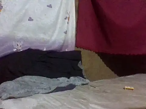Snapshot of Roystone3 chatting on June 2026 07:05:01 PM Roystone3 online show from June 2026 07:05:01 PM