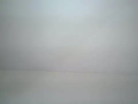 wendy shancy online show from May 2026 02:14:01 PM
