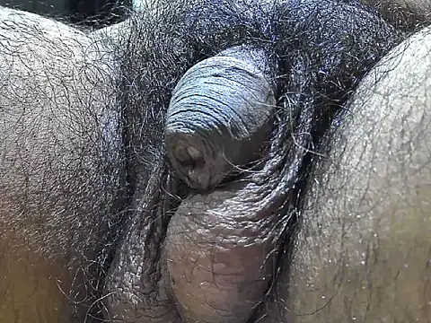 indiboy009 online show from September 2025 07:35:01 PM