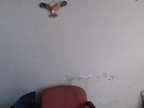 Frank X Husle online show from June 2026 10:37:02 AM