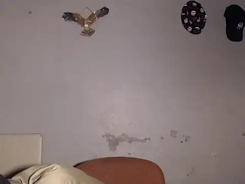 Snapshot of Frank_X_Husle chatting on June 2026 08:00:02 PM Frank X Husle online show from June 2026 08:00:02 PM