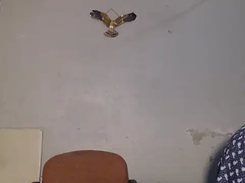 Snapshot of Frank_X_Husle chatting on July 2026 09:50:01 PM Frank X Husle online show from July 2026 09:50:01 PM
