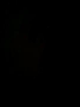 Snapshot of hook9sex chatting on June 2026 04:54:02 AM hook9sex online show from June 2026 04:54:02 AM