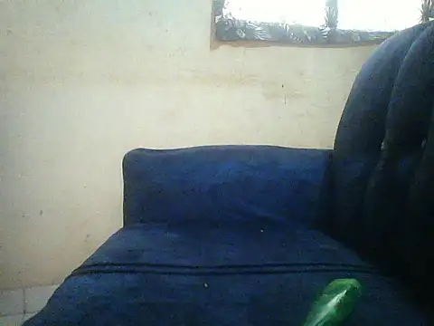 HomeBully online show from July 2026 12:09:02 PM