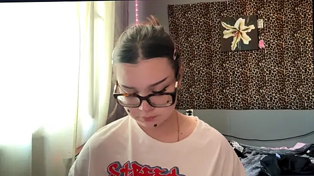StellaCors online show from August 2026 03:37:01 PM
