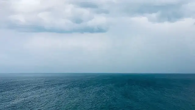 andresstests online show from June 2026 09:02:01 AM