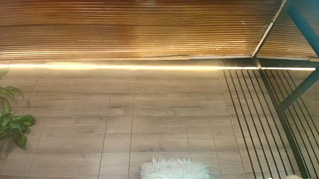 alys molly 11 online show from August 2026 11:12:02 AM