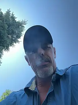 biggymemo online show from July 2026 04:35:02 PM