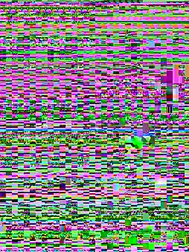 Snapshot of Jelmer57 chatting on July 2026 08:51:01 PM Jelmer57 online show from July 2026 08:51:01 PM