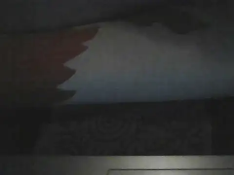 Snapshot of butterflywngs chatting on July 2026 06:54:01 PM butterflywngs online show from July 2026 06:54:01 PM