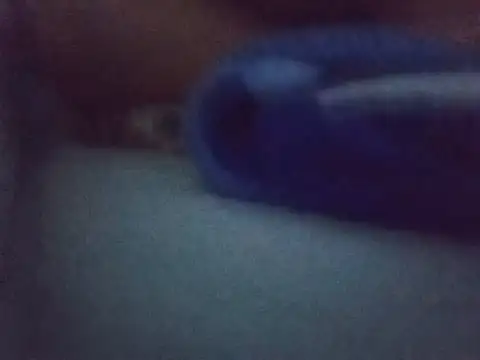 Snapshot of Chinitabella88 chatting on August 2026 02:43:01 AM Chinitabella88 online show from August 2026 02:43:01 AM