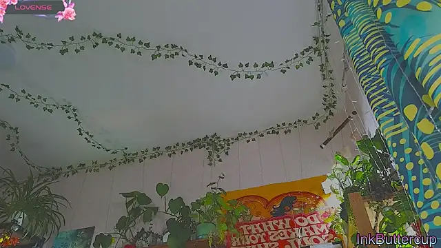 Dead Butterfly online show from September 2025 03:08:02 AM