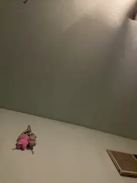 Slumlords online show from March 2026 03:45:02 AM