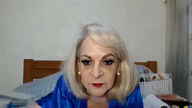 awild kitten online show from June 2026 10:41:01 AM