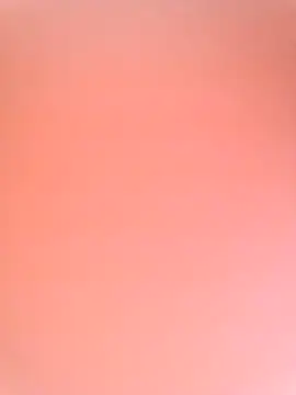 ExoticCarpark online show from November 2025 07:57:01 AM