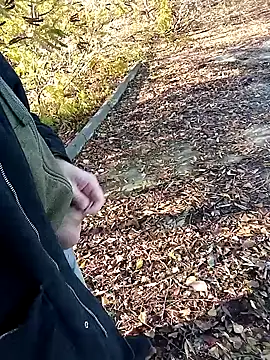 Pokaz2020 online show from October 2025 11:36:02 AM