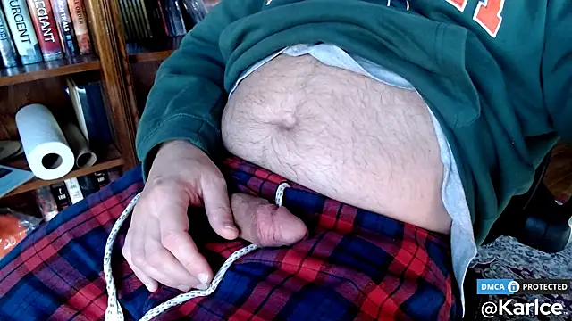 Snapshot of karlce chatting on December 2024 09:06:01 PM karlce online show from December 2024 09:06:01 PM