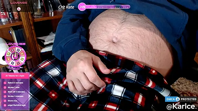 Snapshot of karlce chatting on December 2024 03:59:02 AM karlce online show from December 2024 03:59:02 AM