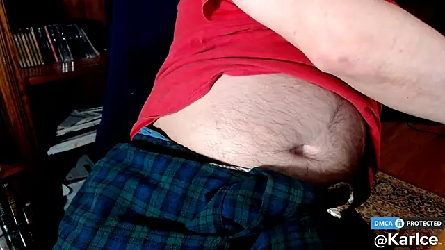 Snapshot of karlce chatting on December 2024 03:34:02 AM karlce online show from December 2024 03:34:02 AM