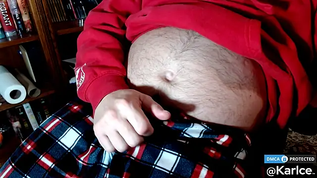 Snapshot of karlce chatting on December 2024 04:28:02 AM karlce online show from December 2024 04:28:02 AM