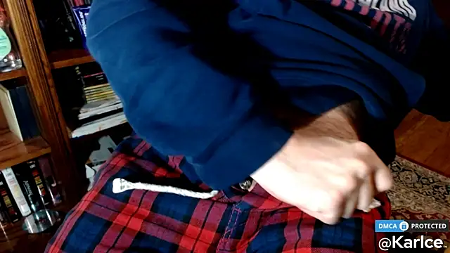 Snapshot of karlce chatting on February 2025 03:37:01 AM karlce online show from February 2025 03:37:01 AM