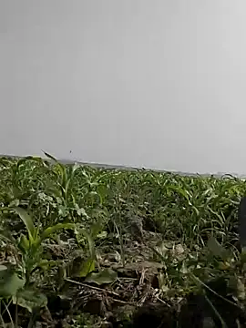 ThethunderPo online show from February 2026 05:45:01 AM