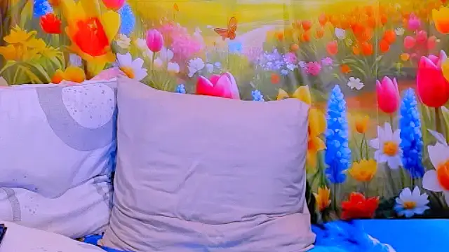 indianroxy online show from March 2026 04:17:01 AM