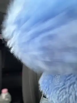 AnastasiaAniess online show from February 2025 09:21:02 AM