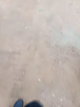 2soyte online show from January 2026 04:05:02 AM