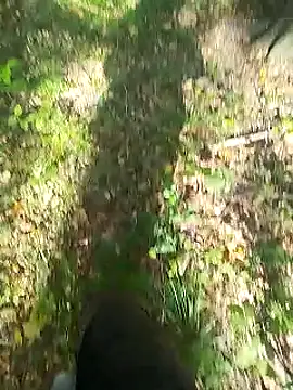 sarpe4 online show from September 2025 08:02:02 AM