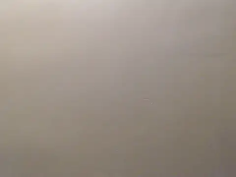 Snapshot of Bigg_Pussyy_Catt chatting on September 2025 09:22:02 AM Bigg Pussyy Catt online show from September 2025 09:22:02 AM