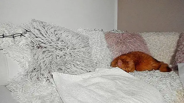 BrianaDiamondXXX online show from April 2026 07:14:01 PM