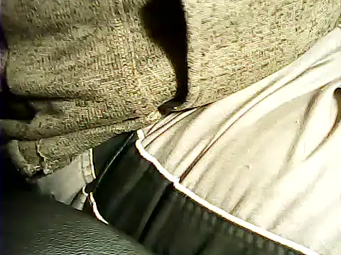 Snapshot of kalinixta chatting on January 2026 05:26:01 PM kalinixta online show from January 2026 05:26:01 PM