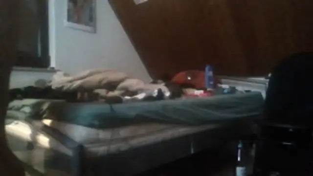 Snapshot of Genius1606 chatting on November 2025 06:28:01 AM Genius1606 online show from November 2025 06:28:01 AM