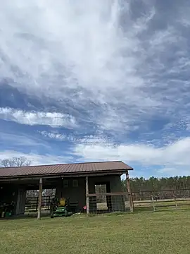 Sitonmyface2020xh online show from March 2025 03:53:01 PM