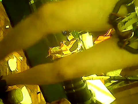 god23free online show from February 2025 03:02:02 AM